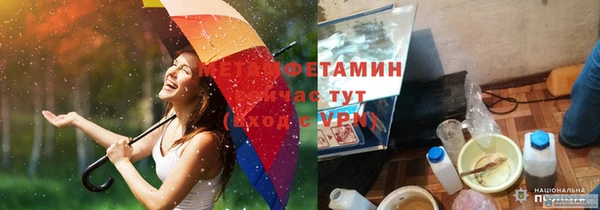 прущие грибы Нея