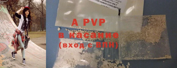 прущие грибы Нея