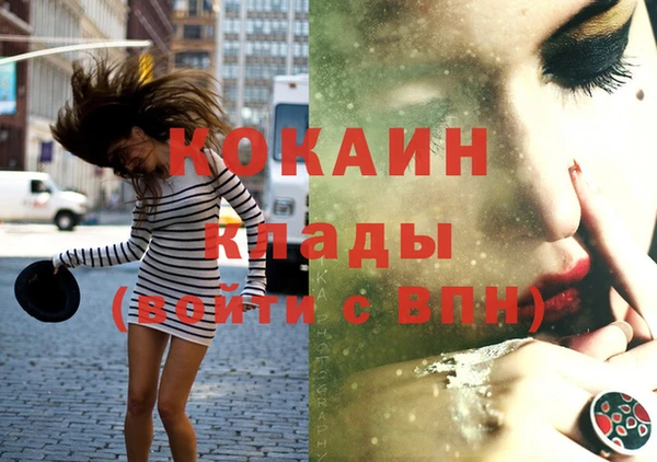 прущие грибы Нея