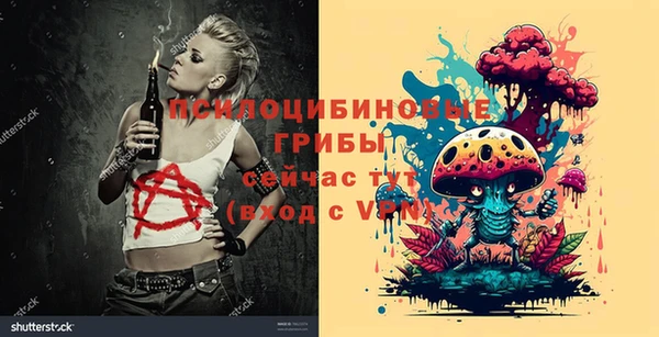 прущие грибы Нея