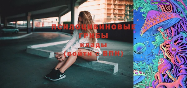 прущие грибы Нея
