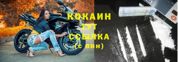 прущие грибы Нея